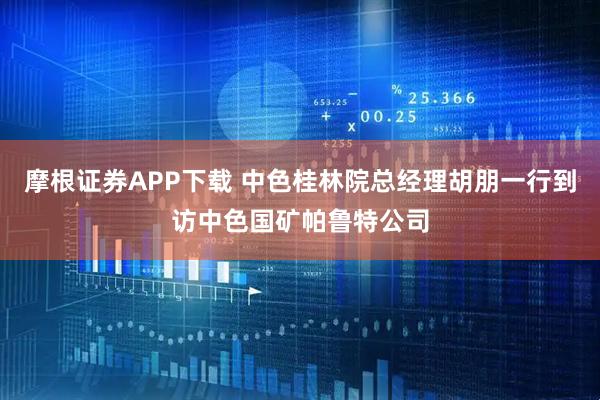 摩根证券APP下载 中色桂林院总经理胡朋一行到访中色国矿帕鲁特公司