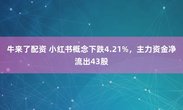 牛来了配资 小红书概念下跌4.21%，主力资金净流出43股